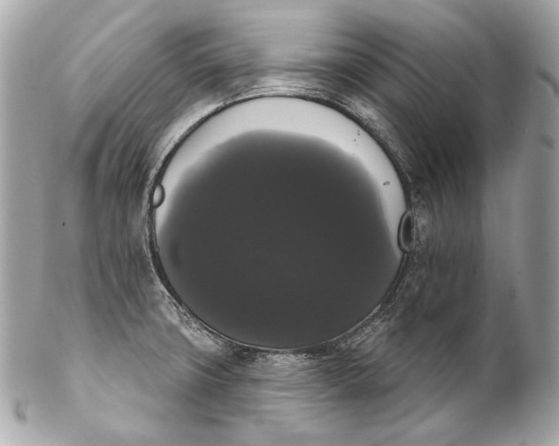 X0000102241427200808151743