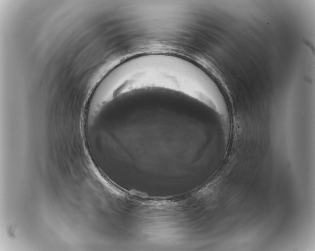 X0000102241429200808151743