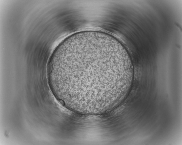 X0000102241430200808151743