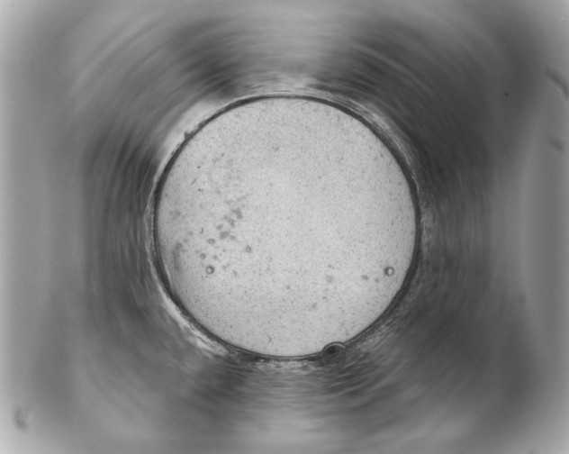 X0000102241432200808151743