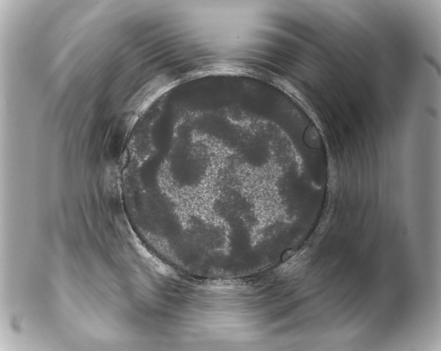 X0000102241433200808151743