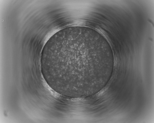 X0000102241434200808151743