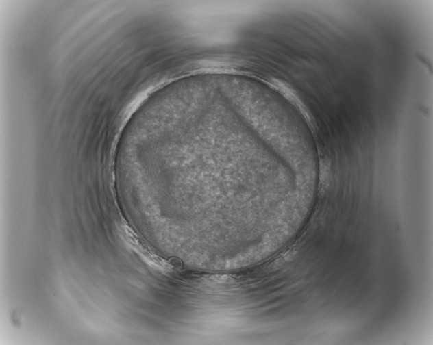 X0000102241435200808151743