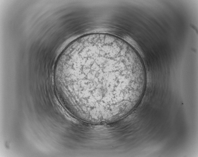 X0000102241436200808151743