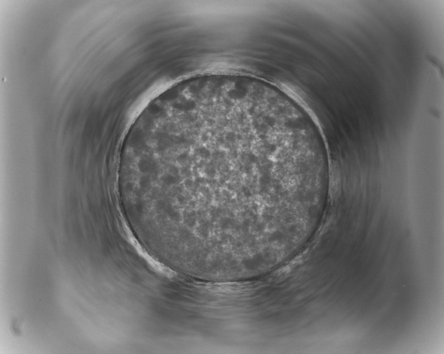 X0000102241437200808151743