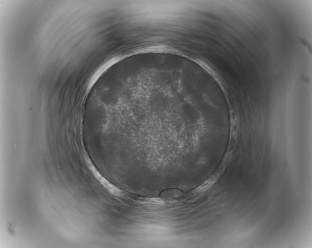 X0000102241438200808151743