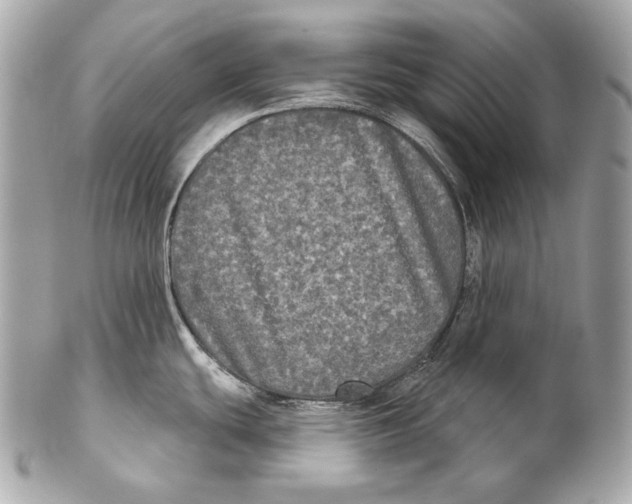 X0000102241439200808151743