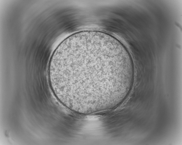 X0000102241440200808151743