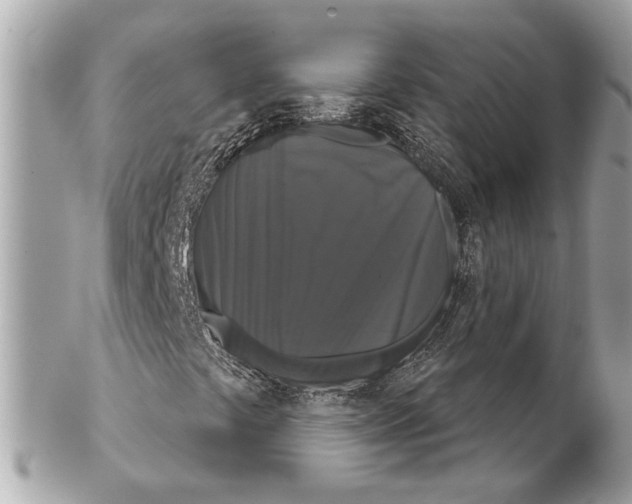 X0000102241441200808151742