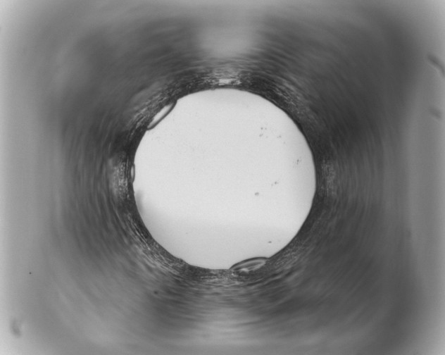 X0000102241442200808151742