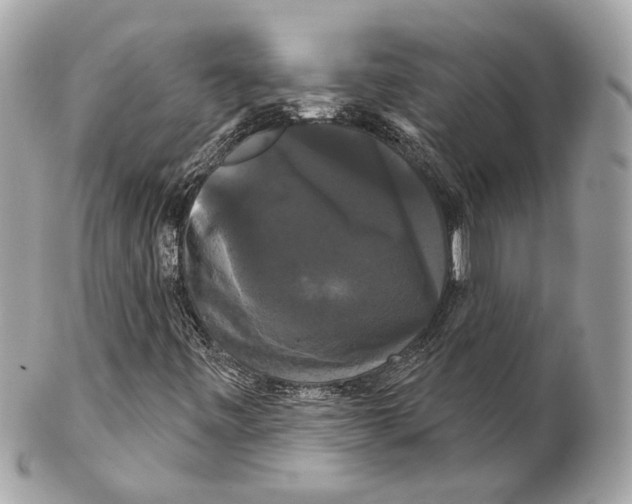 X0000102241443200808151742