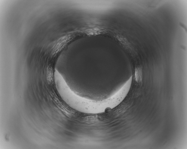 X0000102241444200808151742