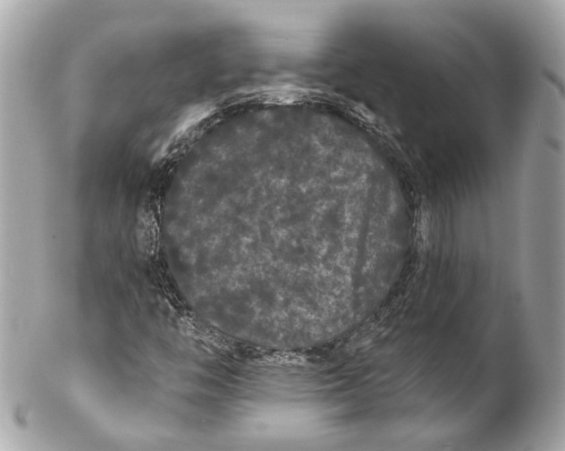 X0000102241446200808151742