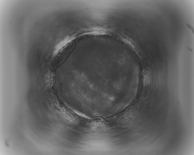 X0000102241448200808151742