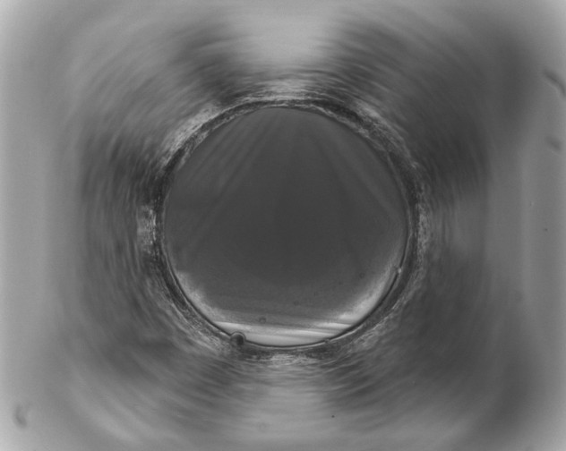 X0000102241449200808151742