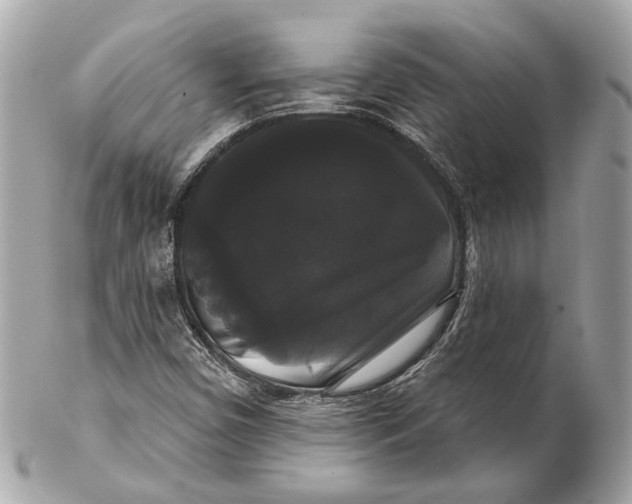 X0000102241450200808151742