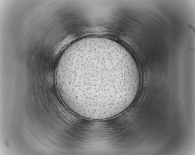 X0000102241451200808151742