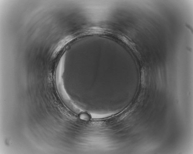 X0000102241453200808151742