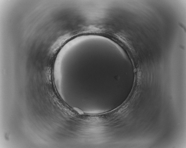 X0000102241455200808151742