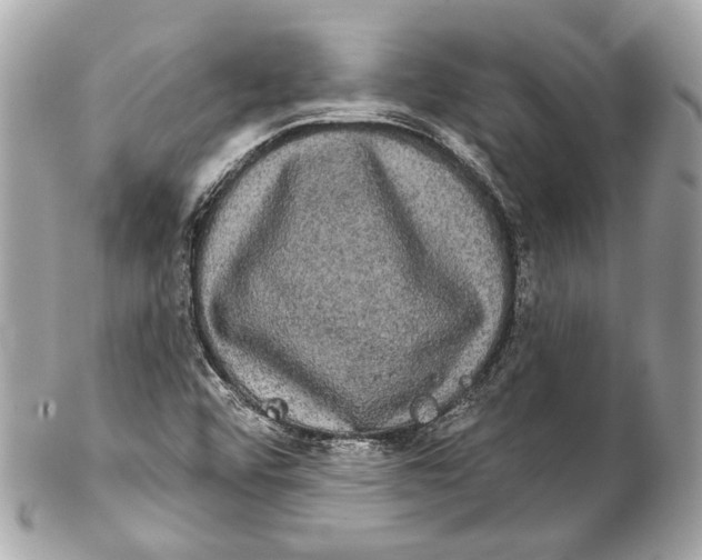 X0000102241456200808151742