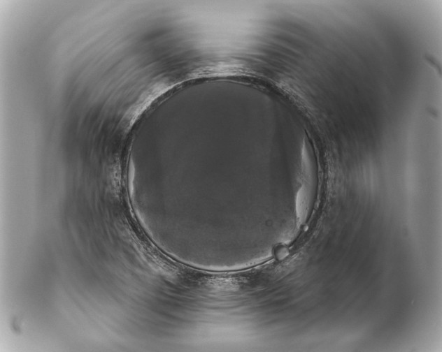 X0000102241457200808151742