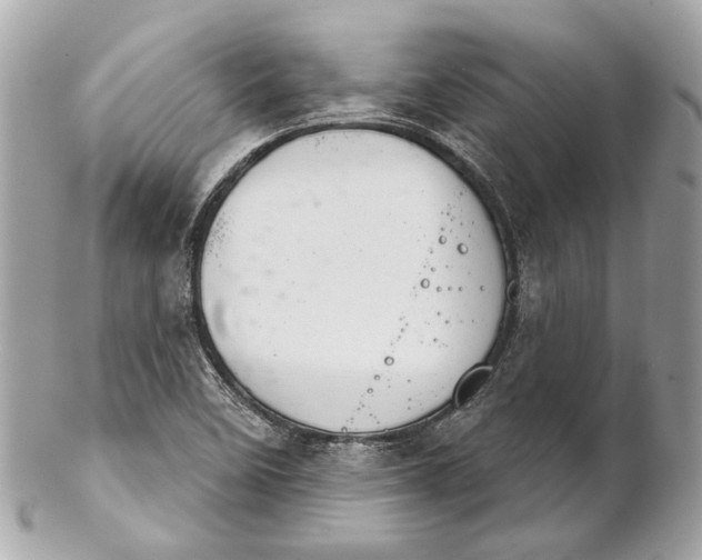 X0000102241458200808151742