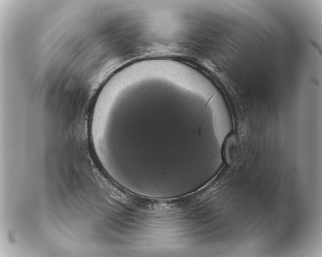 X0000102241459200808151742