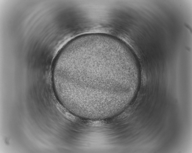 X0000102241460200808151742