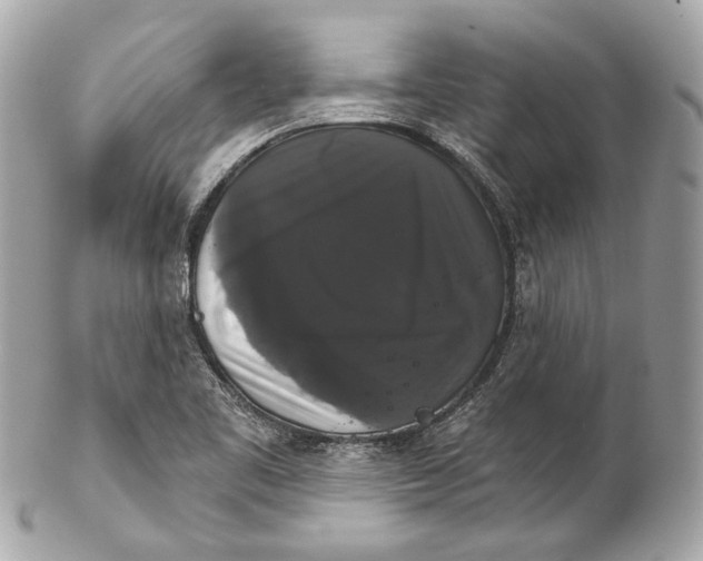 X0000102241461200808151742