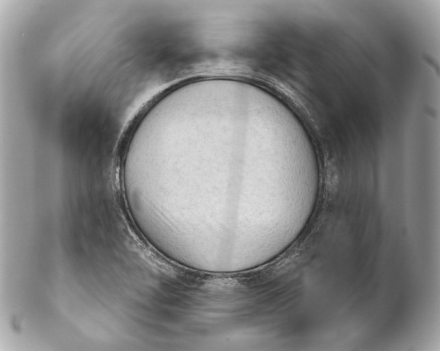 X0000102241462200808151742