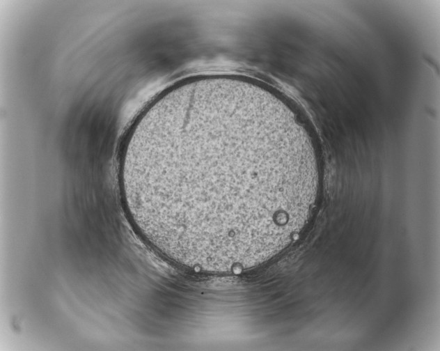 X0000102241464200808151742