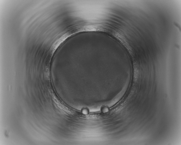 X0000102241465200808151742