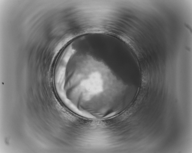 X0000102241466200808151742