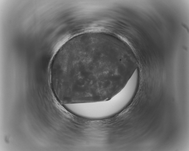 X0000102241467200808151742