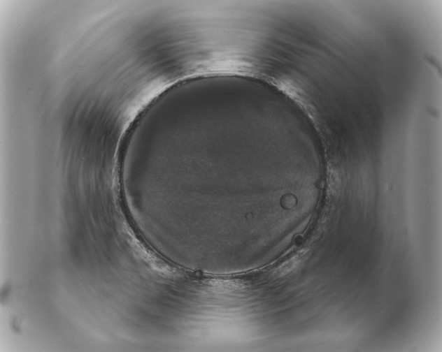 X0000102241469200808151742