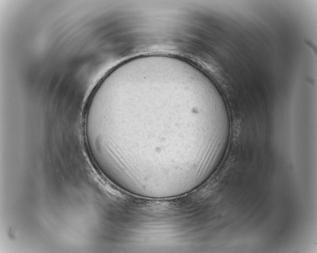 X0000102241470200808151742