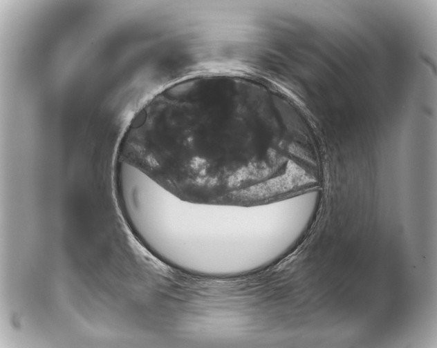 X0000102241471200808151742