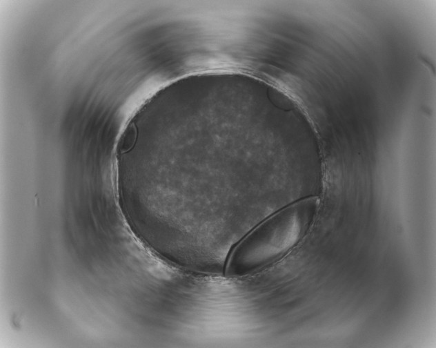 X0000102241472200808151742