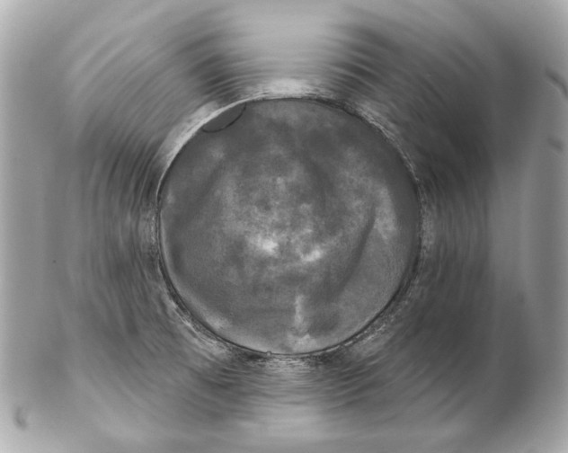 X0000102241473200808151742