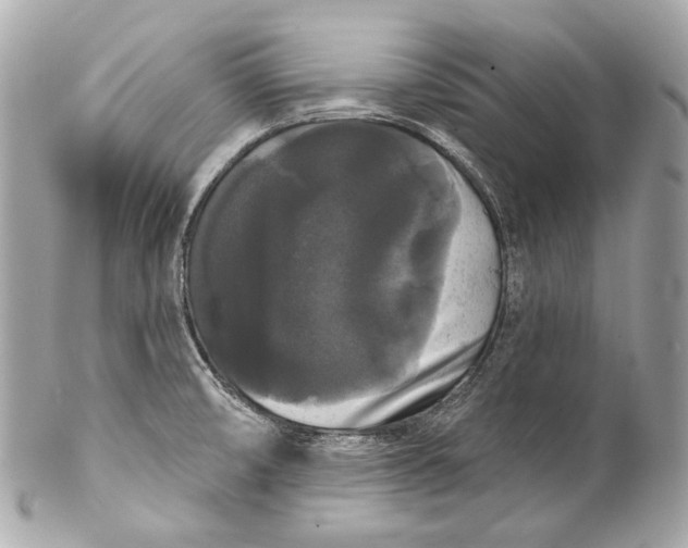 X0000102241474200808151742