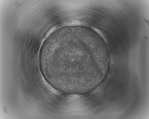 X0000102241475200808151742