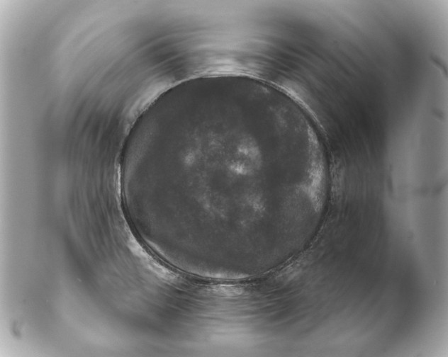 X0000102241476200808151742