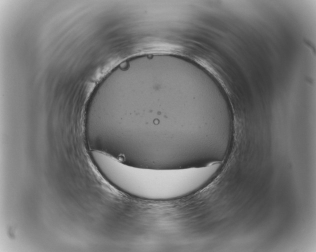 X0000102241477200808151742