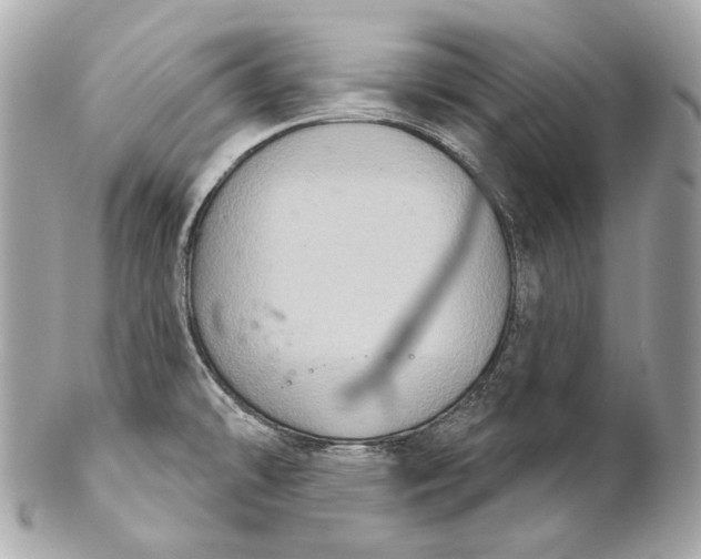 X0000102241478200808151742