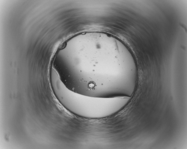 X0000102241480200808151742