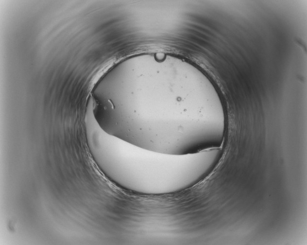 X0000102241481200808151742