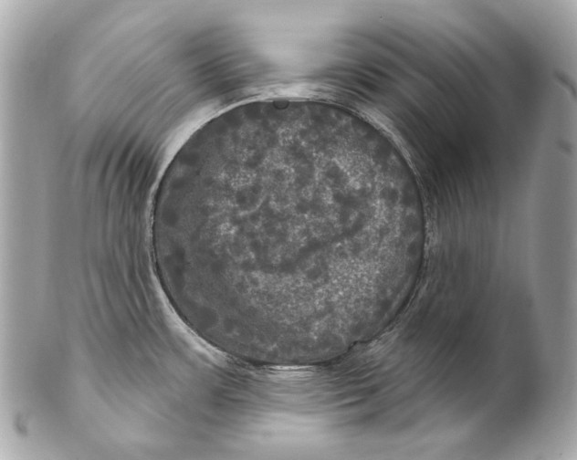 X0000102241483200808151742