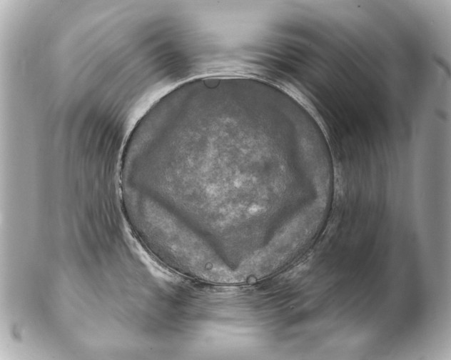 X0000102241485200808151742