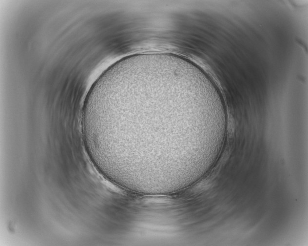 X0000102241486200808151742