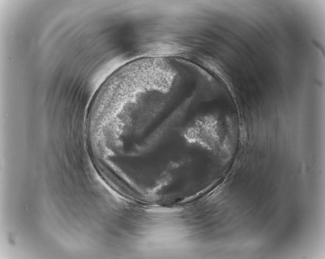 X0000102241487200808151742